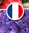 Francais